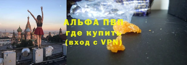 прущий лед Алзамай
