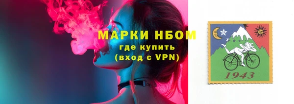 прущий лед Алзамай