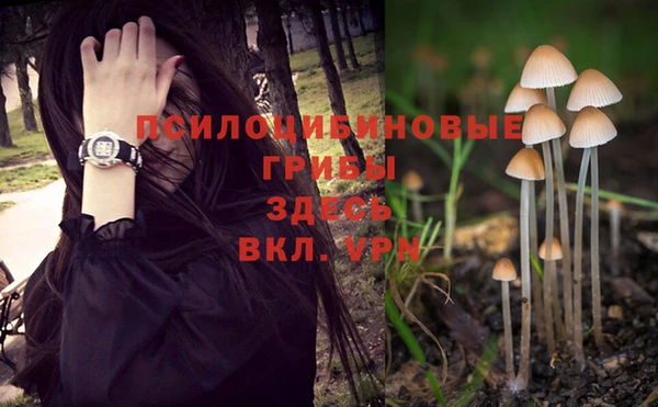 прущий лед Алзамай