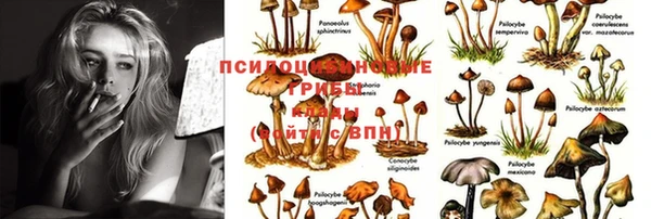 MDMA Алексин