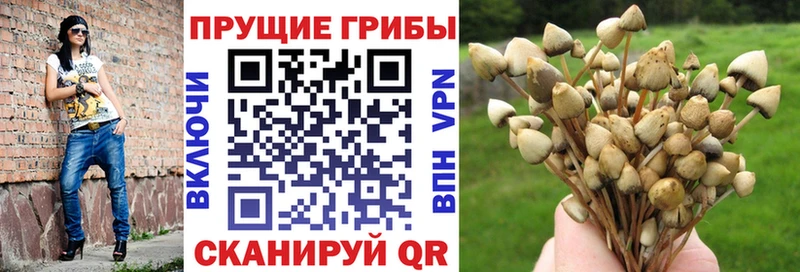 Псилоцибиновые грибы MAGIC MUSHROOMS Куйбышев