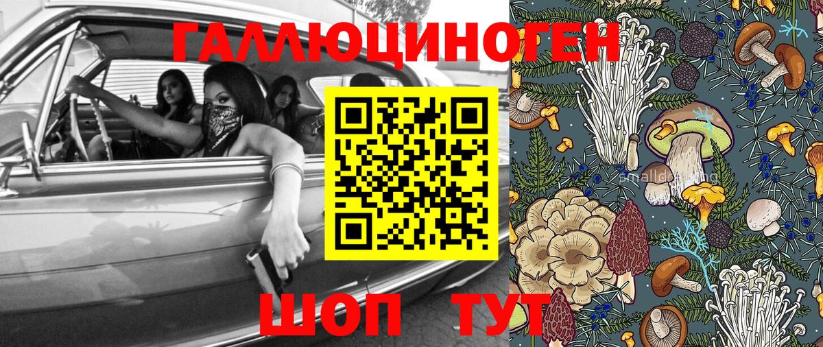 Галлюциногенные грибы GOLDEN TEACHER Куйбышев