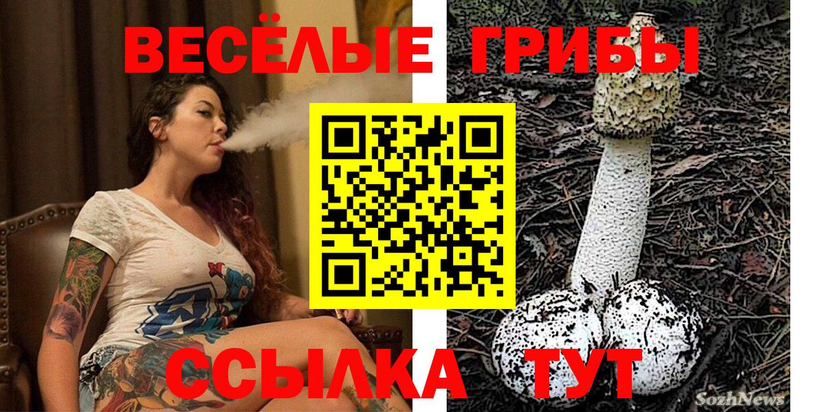 где найти наркотики  Вход с VPN  Куйбышев  Галлюциногенные грибы MAGIC MUSHROOMS 