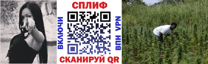 Каннабис Amnesia  купить   kraken ссылки  Куйбышев 